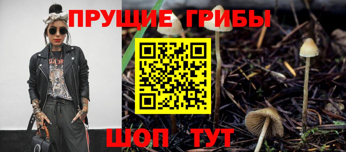 Псилоцибиновые грибы ЛСД  Вход с VPN  хочу наркоту  Краснокаменск 